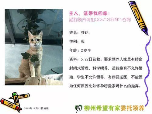 爱爱在线观看,探索网络情感世界的秘密